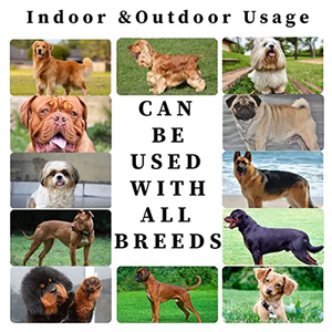 Alfombrillas Impermeables para Perros, Ecológicas, Económicas, Tallas S, M, L, XL, 30x36, 45x60cm, para Entrenamiento de Cachorros - Product Image 5