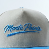 Casquette de baseball structurée à 5 panneaux, couleur personnalisée et logo brodé, visière incurvée, en coton, unisexe, casquettes de sport