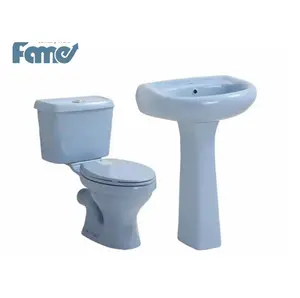 Two-piece washdown blue toilet bowl