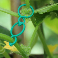 Système de fixation horticole transfrontalier à 8 caractères : pinces à concombres, supports pour semis, supports pour tomates cerises suspendues, supports pour plantes grimpantes, etc.