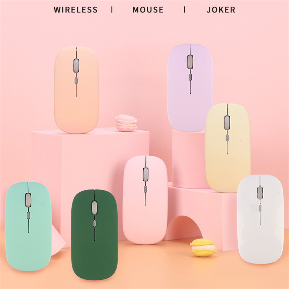 Souris