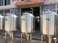 Équipement de brassage de bière de 300l, mini-brasserie artisanale, fermenteur à vendre