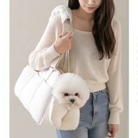 Sac de voyage pour animaux de compagnie fermeture à glissière chat chien transportant épaule sac à dos impression sécurité