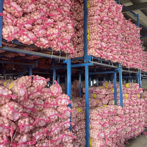 بالجملة الثوم الخضروات الطازجة بكميات كبيرة محصول صيني أحمر رأس كبير Ajo الثوم باوانغ بوتيه - Product Image 4