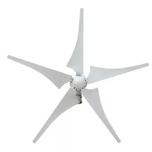 ESG haute qualité 400w 600W 1000W moulin à vent 12v 24V éolienne horizontale 5 pales générateur d'éolienne domestique