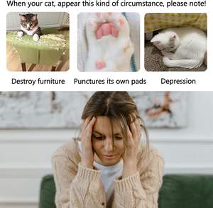 Ultimate pinze per gatti con organo magico pieghevole interattivo - Product Image 6