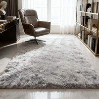 Tapis en peluche doux pour salon chambre tapis de sol grande taille antidérapant décoration de la maison et confort