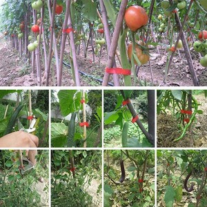 Nhà máy ràng buộc chi nhánh nho mới của Nhật Bản đóng đai thiết bị ràng buộc nho tapetool Máy buộc máy - Product Image 4