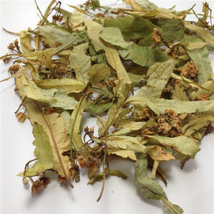 Tisane de santé à base de plantes en promotion : Feuilles de <span class=keywords><strong>tilleul</strong></span> séchées et fleurs de <span class=keywords><strong>tilleul</strong></span> - Product Image 5