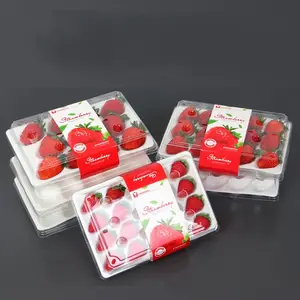 9 11 15 20 24 28 Cells Clear Strawberry Plastic Packaging Box Transparent PET Recycled Packing Container With Label Foam Liner