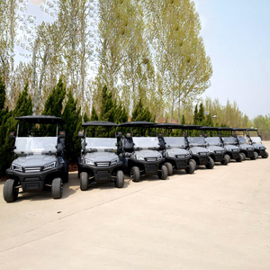 Новый 2-местный экскурсионный автобус охотничий клуб гольф-кар электрическая Гольф-кар - Product Image 2