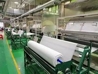 Feuilles de lessive en papier avec enzymes solides, fournisseur et fabricant d'usine d'origine