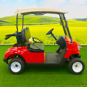 Carrito de Golf Eléctrico de 2 Plazas, Color Personalizable, Mini Buggy de Bajo Ruido, Radio de Giro Pequeño, para Zonas Turísticas y Resorts - Product Image 4