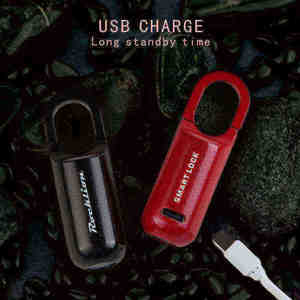 OEM nhanh chóng mở khóa ổ khóa di động với vân tay 10 công suất an ninh ổ khóa - Product Image 5