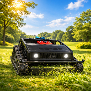 Livraison Gratuite Prix le Plus Bas Mini Souffleuse à Neige Électrique à Chenilles 9hp 12hp avec Télécommande - Product Image 1