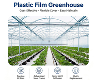 Serre tunnel monopente en film plastique, structure agricole hydroponique en polyéthylène avec cadre en acier galvanisé, faible coût