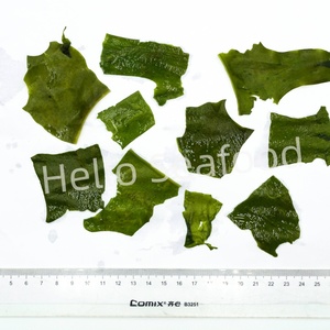 Algas marinas secas y cortadas Xiapu chinas para sopa-Color verde vibrante, alto rendimiento, grado de restaurante - Product Image 6