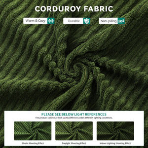 Canapé-lit compressé extensible tendance 2026 en boîte, sans assemblage, pour salon et hôtel - Product Image 2