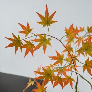 Feuille d'érable <span class=keywords><strong>japonais</strong></span> artificielle à tige unique de 113 cm, 4 couleurs, fausse branche d'érable rouge pour la décoration d'automne à la maison - Product Image 3