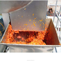 Productielijn voor tomatenpuree 2026, groente & fruit, met automatische complete oplossing van roestvrij staal SUS 304