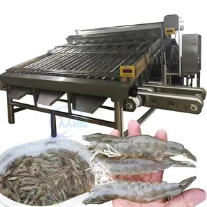 Verarbeitung maschine für die Sortierung von Meeres früchten und Garnelen, Sortiermaschine für Garnelen und Fische, Sortiermaschine für Krebse und Garnelen