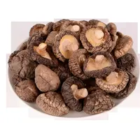 Xiang gu Best price high quality natural Dried magic porcini mushrooms Shiitake