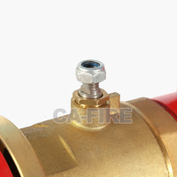 Hydrant à mousse CA Fire DN80-150 1,6 MPa en fonte pour système de lutte contre l'incendie extérieur, pour la protection incendie industrielle