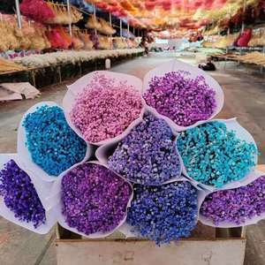 Commercio all'ingrosso della fabbrica conservato Gypsophila <span class=keywords><strong>fiori</strong></span> <span class=keywords><strong>secchi</strong></span> <span class=keywords><strong>Bouquet</strong></span> conservato Babysbreath <span class=keywords><strong>Bouquet</strong></span> per la decorazione della casa del <span class=keywords><strong>Bouquet</strong></span> di nozze - Product Image 4