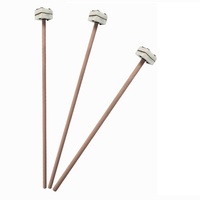 Thermocouple Platine-Rhodium Type B WRR-010 en Alumine Diamètre 8mm Petit Modèle 1600 Degrés Support Personnalisé Disponible