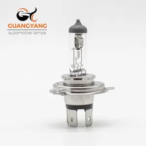 Hot Sale Best Quality HS1 12V 35/35W Clear Motorcycle Halogen Headlight Bulb