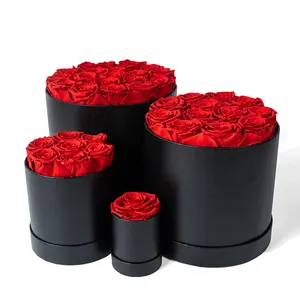 MCFloral Round Collection New Products 2024 Dried Flowers Arrangements Fleur Rosa Stabilizzata Eternal Rose Preserved