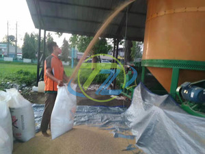 Küçük elektrikli ısıtma tahıl tahıl kurutma meyve Dregs tatlı patates özel kurutma ekipmanları tianze - Product Image 6