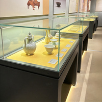 Vitrine de musée, éclairage LED pour galerie, vitrine de collection, présentoir de vente au détail, vitrine d'exposition, armoire de présentation