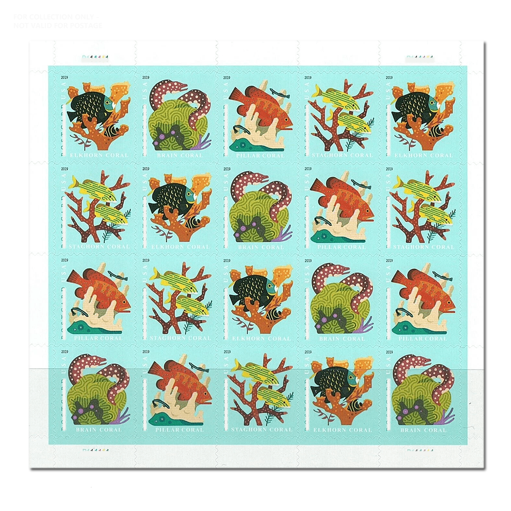 Récifs Coralliens Blancs Y46 2019