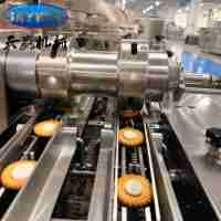Machine automatique Skywin pour biscuits au beurre à deux saveurs, petite machine à fabriquer des biscuits, machine d'emballage en flux, ligne de production