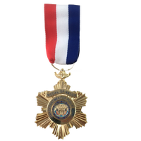 Pin de Élite Personalizado, Medalla de Oro Tradicional Moderna, Cinta Roja, Blanca y Azul, Hierro Electrochapado, Esmalte Suave, Coleccionable, Decoración para el Hogar