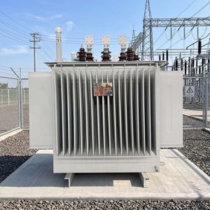 Transformateur de puissance immergé dans l'huile pour distribution extérieure, 50 kVA à 1000 kVA, 11 kV à 33 kV, directement du fabricant avec 35 ans d'expérience - Product Image 6