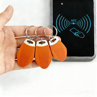 Zuverlässiger und Anpassbarer NTAG213 NFC-Schlüsselanhänger mit Wasserdichtem Design für Hotel-Türschlösser, Bürosicherheit und Apartment-Management