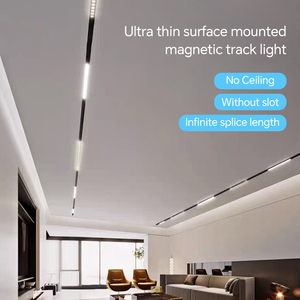 Luce magnetica pista 48V Ultra sottile intelligente Zigbee regolabile bianco 8mm faretto per casa ufficio commerciale sistema di illuminazione a <span class=keywords><strong>Led</strong></span> - Product Image 4