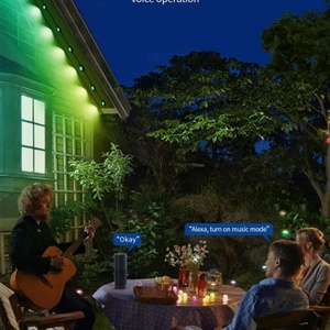 Hot Selling Christmas Permanent Outdoor Rgb Led Point <b>Lights</b> Source <b>String</b> 50ft DIY Scene Modes IP67 Waterproof Eaves <b>Light</b> - Product Image 6