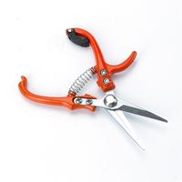 Outils de coupe de jardin cisaille d'élagage professionnel cisaille à Long manche ensemble d'élagage