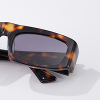 Lunettes de soleil unisexes de luxe en acétate, imprimé léopard, style rétro classique, personnalisables, protection UV400, légères, collection 2026