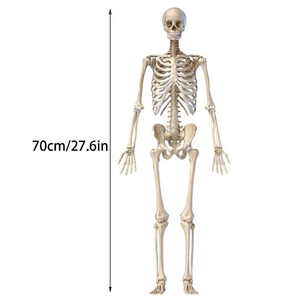Hot Bán Halloween <span class=keywords><strong>Skeleton</strong></span> Trang Trí 90Cm Đầy Đủ Kích Thước Di Chuyển Ngôi Nhà Ma Á<span class=keywords><strong>m</strong></span> Treo Prop Dẫn Ánh Sáng Cho Giáng Sinh <span class=keywords><strong>M</strong></span>ới Đến - Product Image 6