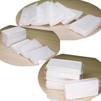 Mouchoirs blancs jetables 2 plis dans une boîte à serviettes Porte-visière de voiture Recharges de tissu pour voyage à domicile