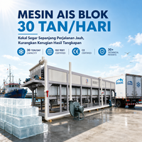 Systèmes automatisés de fabrication de glace en blocs offrant une capacité supérieure et une consommation d'énergie significativement réduite pour votre exploitation.