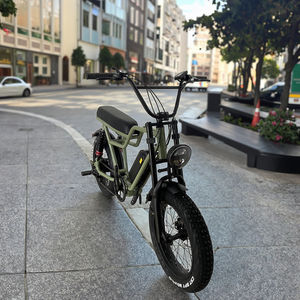 48V 500W <span class=keywords><strong>Specialized</strong></span> 20 "<span class=keywords><strong>Fat</strong></span> Tire Suspensión completa Bicicleta de carga eléctrica de largo alcance Bicicleta eléctrica de 20 pulgadas para la venta - Product Image 5