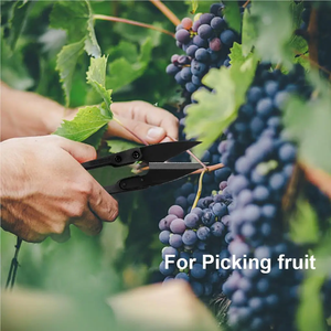 Pruning Shears ABS Garden Trimming Tool <strong>Plants</strong> Flower Bonsai Scissors Leaves Remover Shearing Tools Vegetables Mini <strong>Trimmer</strong> - Product Image 2