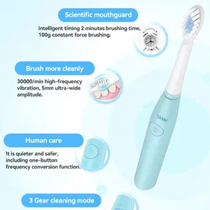 CE Approved Sonic Toothbrush Teeth Cleaning Brush Custom Logo Home Dental Automated Toothbrush