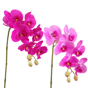 Orquídea Mariposa Artificial Realista al Tacto, de PU, con Tallo Largo de 82 cm, Phalaenopsis de Látex con Alambre de Hierro para Decoración del Hogar y Fiestas - Product Image 1