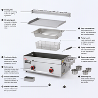 Gril à gaz GPL/GNL en acier inoxydable à double zone de contrôle, économie d'énergie, avec plaque de cuisson commerciale, friteuse à steak et machine à nouilles froides